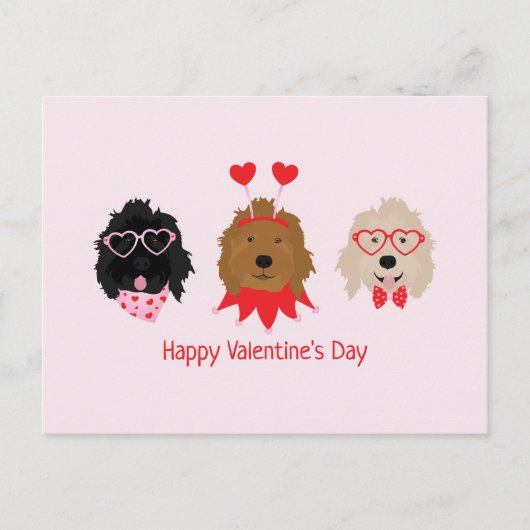 Gelukkige Valentijnsdag Mini Goldendoodle Honden Briefkaart (Voorkant)