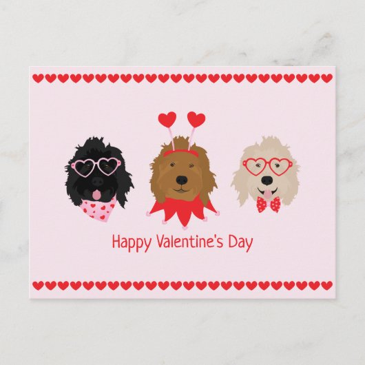 Gelukkige Valentijnsdag Mini Goldendoodle Honden Briefkaart (Voorkant)