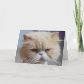 Gelukkige Valentijnsdag Perzische kat Humor Feestdagen Kaart (Achterkant)