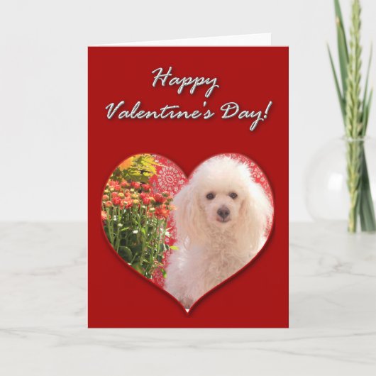 Gelukkige Valentijnsdag Poodle Kaart (Voorkant)