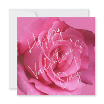 Gelukkige Valentijnsdag roze roos bloem romantisch