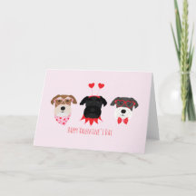 Gelukkige Valentijnsdag Schnauzer Honden