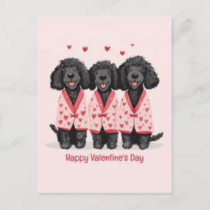 Gelukkige Valentijnsdag Zwarte Standaard Poodle Ho Feestdagenkaart