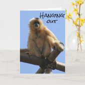 GELUKKIGE VERJAARDAG ** 40ste VERJAARDAG ** GEWOON Kaart (Gele Bloem)