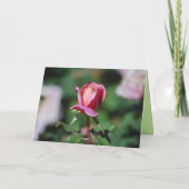 Gelukkige Verjaardag Abrikoos & Lavendel Roos Honi Kaart (Achterkant)