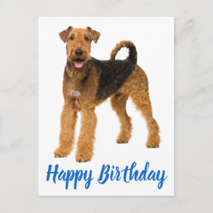Gelukkige verjaardag Airedale Terrier Puppies Hond Briefkaart