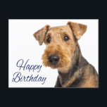 Gelukkige Verjaardag Airedale Terrier Puppy Dog Bl Briefkaart<br><div class="desc">Verlicht iemands speciale dag met dit leuke Airedale Terrier-puppy Happy Birthday-briefkaart. Scroll naar beneden om andere hondenproducten te uitzichten die u misschien leuk vindt.</div>