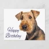 Gelukkige Verjaardag Airedale Terrier Puppy Dog Bl Briefkaart (Voorkant)
