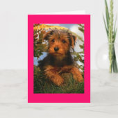 Gelukkige Verjaardag Airedale Terrier Puppy Dog Ka Kaart (Voorkant)