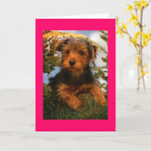 Gelukkige Verjaardag Airedale Terrier Puppy Dog Ka Kaart (Gele Bloem)