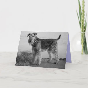 Gelukkige Verjaardag Airedale Terrier Puppy Dog Ka Kaart