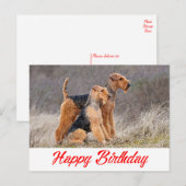 Gelukkige Verjaardag Airedale Terrier Puppy Dog Re Briefkaart (Voorkant / Achterkant)