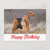 Gelukkige Verjaardag Airedale Terrier Puppy Dog Re Briefkaart (Voorkant)