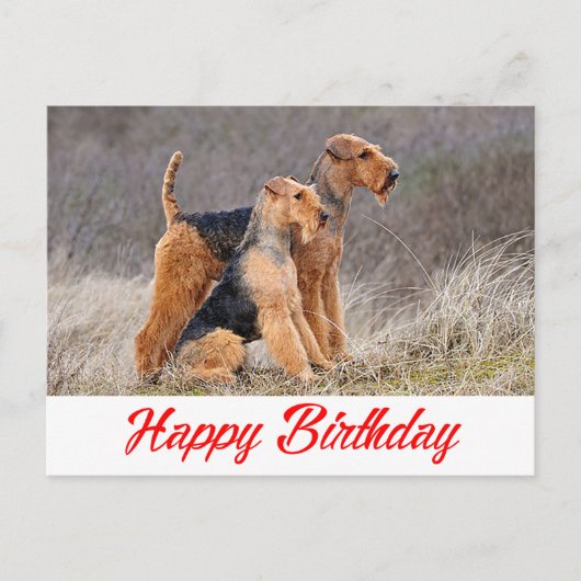 Gelukkige Verjaardag Airedale Terrier Puppy Dog Re Briefkaart (Voorkant)