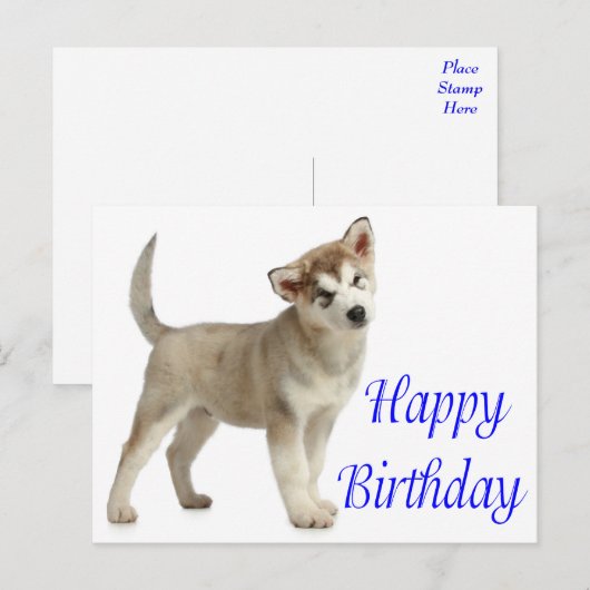 Gelukkige Verjaardag Alaskan Malamute Puppy Dog Ka Briefkaart (Voorkant / Achterkant)