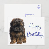Gelukkige Verjaardag Baby Havanese Puppy Dog Briefkaart (Voorkant / Achterkant)
