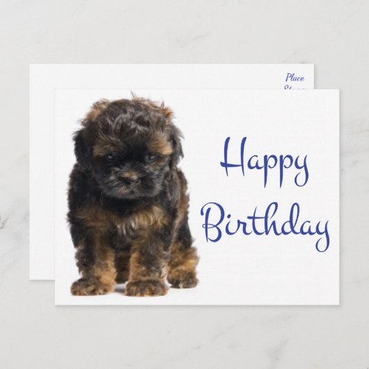 Gelukkige Verjaardag Baby Havanese Puppy Dog Briefkaart (Voorkant / Achterkant)
