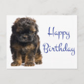 Gelukkige Verjaardag Baby Havanese Puppy Dog Briefkaart (Voorkant)