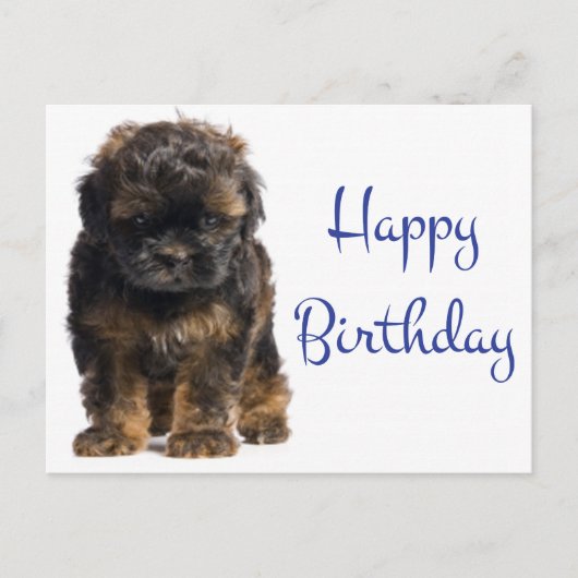 Gelukkige Verjaardag Baby Havanese Puppy Dog Briefkaart (Voorkant)