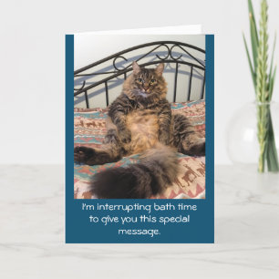 Gelukkige Verjaardag Bad Tijd Kimber Cat Kaart
