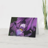 Gelukkige Verjaardag Bearded Iris Kaart (Achterkant)