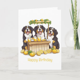 Gelukkige Verjaardag Berner Sennenhond Lemonade St Kaart