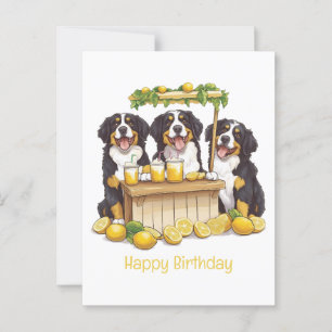 Gelukkige verjaardag Bernese Mountain Dog Limonade Briefkaart