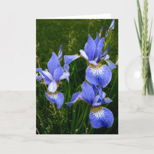 Gelukkige Verjaardag - Blue Iris-Dark Kaart