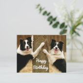 Gelukkige Verjaardag Border Collie Puppy Dog Rusti Briefkaart (Staand voorkant)