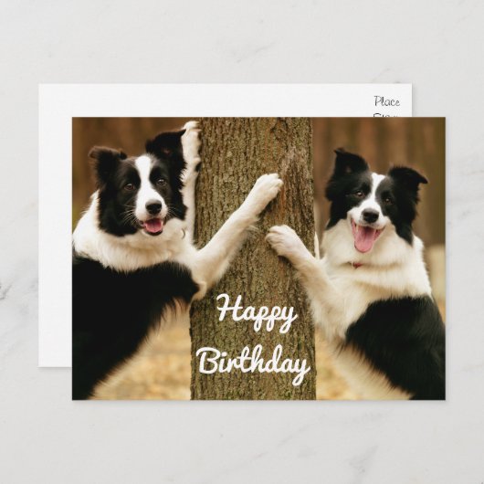 Gelukkige Verjaardag Border Collie Puppy Dog Rusti Briefkaart (Voorkant / Achterkant)