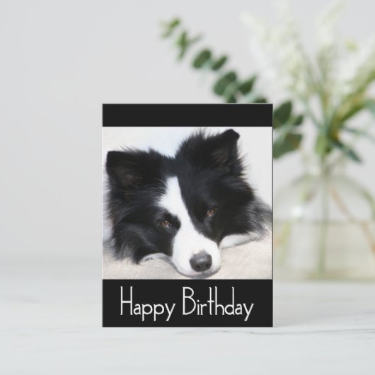 Gelukkige Verjaardag Border Collie Puppy Dog Zwart Briefkaart (Staand voorkant)