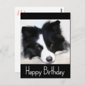 Gelukkige Verjaardag Border Collie Puppy Dog Zwart Briefkaart (Voorkant / Achterkant)