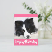 Gelukkige Verjaardag Border Collie Puppy Hond Briefkaart (Staand voorkant)