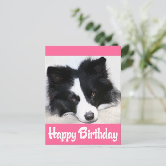 Gelukkige Verjaardag Border Collie Puppy Hond Briefkaart (Staand voorkant)