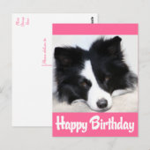 Gelukkige Verjaardag Border Collie Puppy Hond Briefkaart (Voorkant / Achterkant)