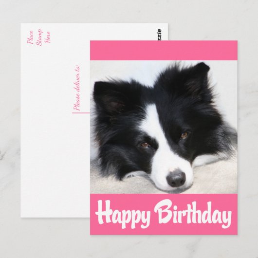 Gelukkige Verjaardag Border Collie Puppy Hond Briefkaart (Voorkant / Achterkant)