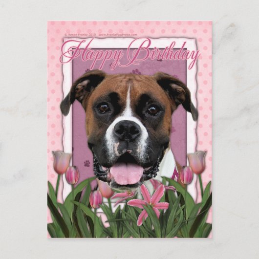 Gelukkige Verjaardag - Boxer - Vindy Briefkaart (Voorkant)