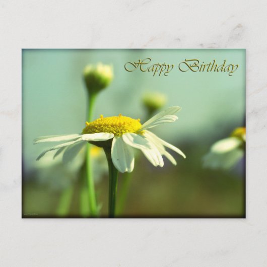 Gelukkige verjaardag briefkaart (Voorkant)