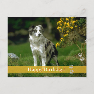 Gelukkige verjaardag! - briefkaart van de hond