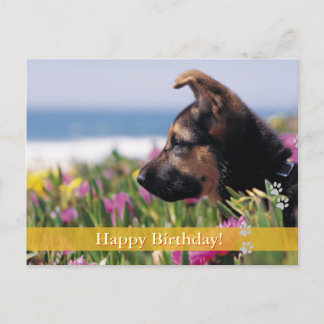 Gelukkige verjaardag! - briefkaart van de hond