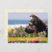 Gelukkige verjaardag! - briefkaart van de hond (Voorkant / Achterkant)