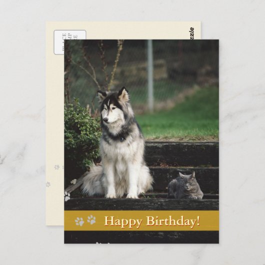 Gelukkige verjaardag! - briefkaart voor honden en  (Voorkant / Achterkant)