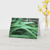 Gelukkige verjaardag broer in de wet kaart (Gele Bloem)