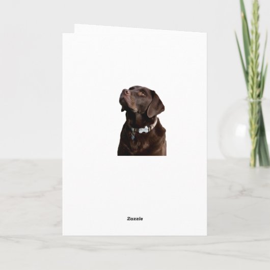 Gelukkige Verjaardag Brown Labrador Retriever Pupp Kaart (Achterkant)