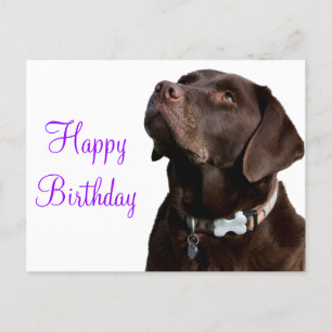 Gelukkige Verjaardag Bruine Labrador Retriever Pup Briefkaart