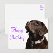 Gelukkige Verjaardag Bruine Labrador Retriever Pup Briefkaart (Voorkant / Achterkant)