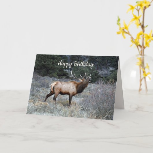 Gelukkige verjaardag, Bull Elk Bugling Kaart (Gele Bloem)