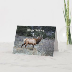 Gelukkige verjaardag, Bull Elk Bugling Kaart