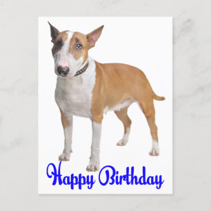 Gelukkige Verjaardag Bull Terrier Puppy Hond Briefkaart