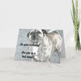 Gelukkige verjaardag Bulldog Kaart